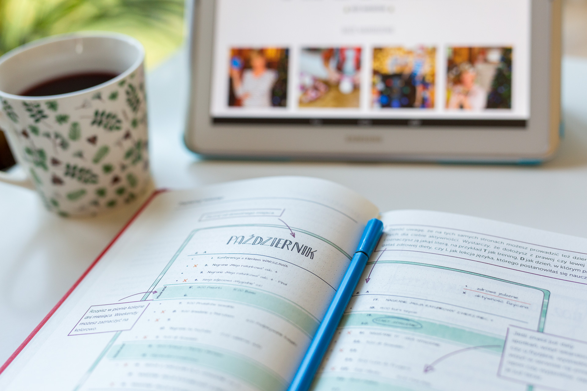 PlanUlek - Ula Pedantula, czerwony