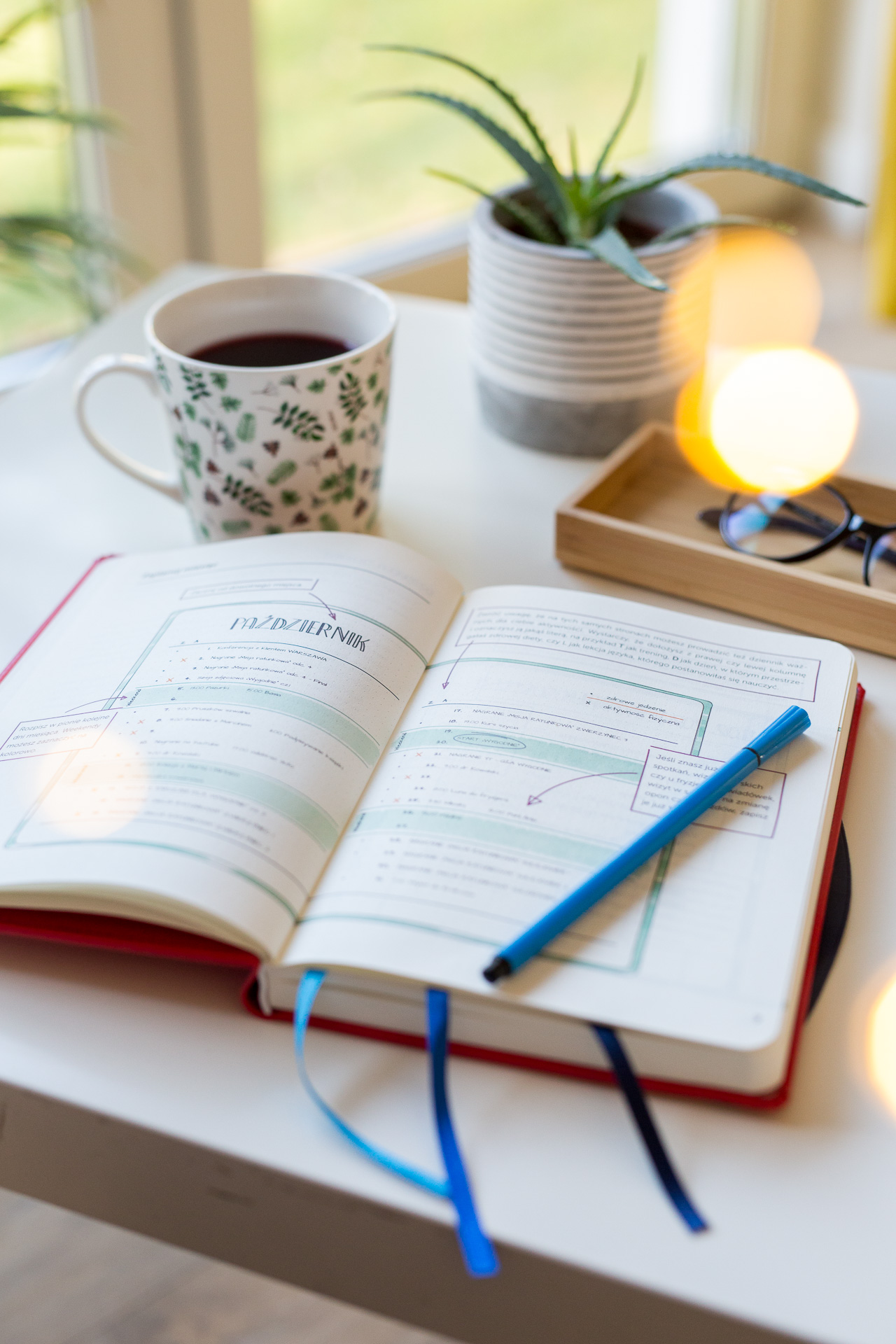 PlanUlek - Ula Pedantula, czerwony